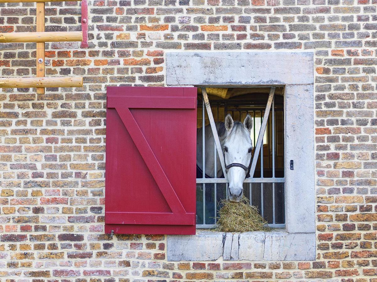 Hoeve De Brieser 4* Heers